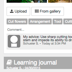 Développement web et mobile d’une application sociale pédagogique